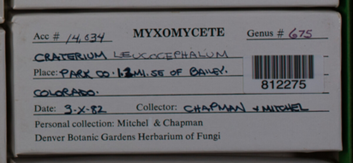 Craterium image